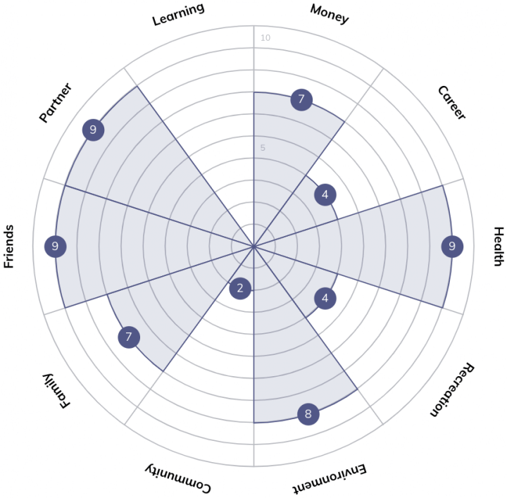 The Ultimate Wheel Of Life Template For Coaching PDF 